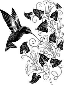 Hummingbird Tattoo