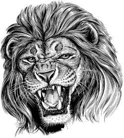 Lion Head Tattoo